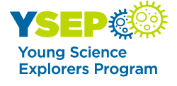 YSEP_RGB