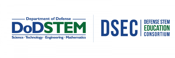 DSEC Logo