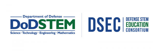 DSEC Logo DSEC Logo