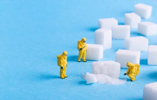 The team investigates the sugar cubes