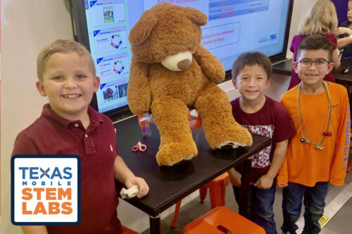 goldilocks little bear