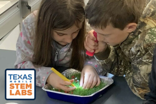 students working on environment