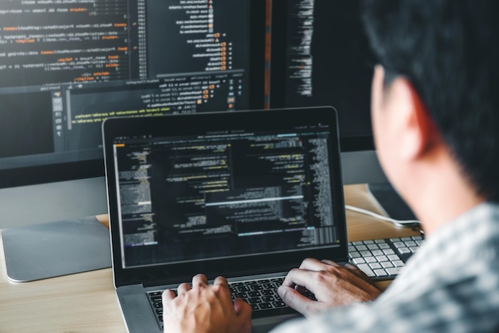 Software Developer